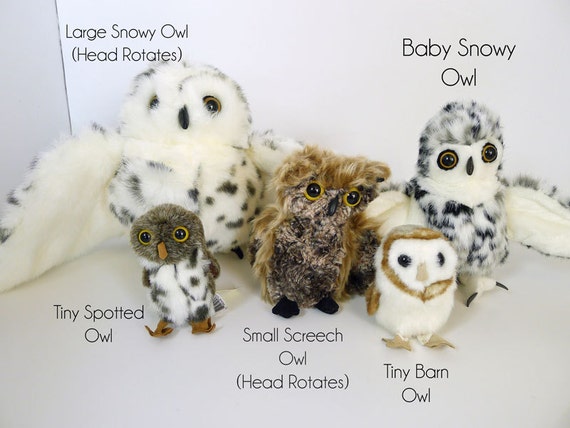 magical names for owls