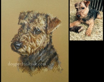 dog portrait, custom dog portrait, custom pet portrait, pet portrait, custom portrait, pet painting, dog art, pet portrait custom, dog