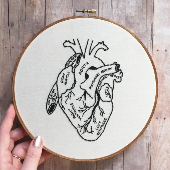 Anatomical human heart hand embroidery hoop art. Hand stained