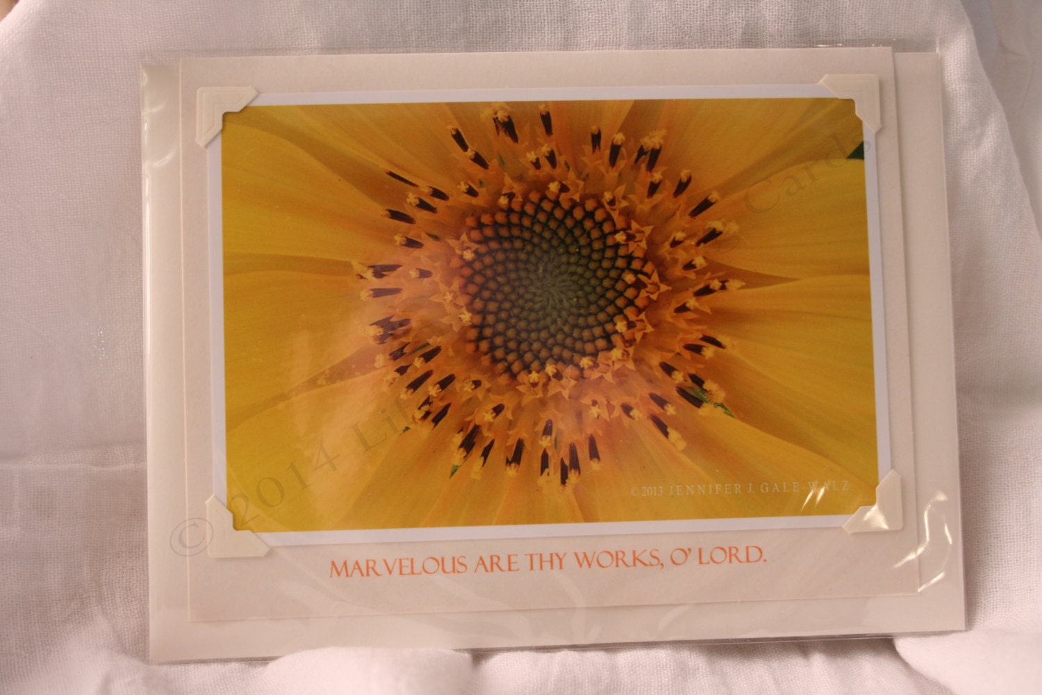 Lifeway Greeting Cards Inspirational Card by LifewayGreetingCards