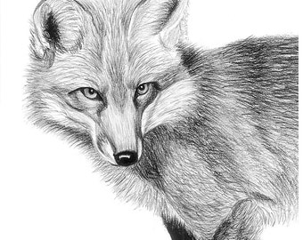 Items similar to Red Fox 8