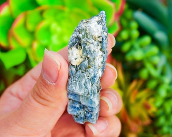 High Quality Zimbabwe Stash Blue Kyanite Crystal with silver mica, Raw Minerals, Specimens, Reiki chakra, Meditation stone, Crystal Point