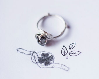 Meteorite Ring with Sterling Silver and Campo del Cielo - Swirly Elvish Engagement Ring Twig and Leaf
