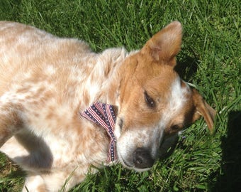 American Flag Dog Bow Tie - Help the Mr. Mo Project!!