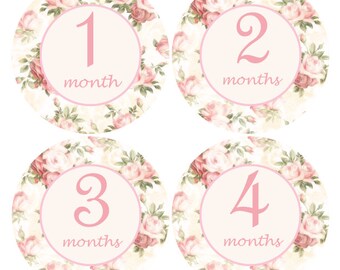 Monthly Baby stickers, Flower Month Sticker, Milestone stickers, Pink month stickers, Vintage growth stickers, baby shower gift, A202