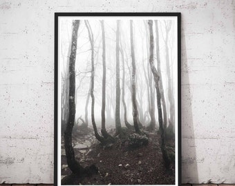 forest woodland wall art fall rustic decor tree photography moody landscape moutain fog print - Etsy Baby Room forest woodland wall art fall rustic decor tree photography moody landscape moutain fog print - Etsy Baby Room