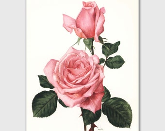 Rose Print, Romantic Wall Art, Vintage Botanical Illustration, 1960s Flower, Pink Room Decor "Rendezvous" No. 29