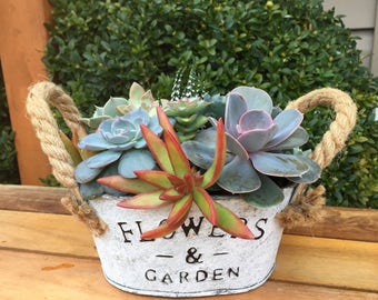 Free Shipping*/shabby Chic/planter/wedding decor/white metal planter/metal container/succulent planter/succulent arrangement/succulents
