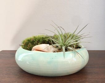 Succulent Planter, Pots for Succulents, Succulent Terrarium, Cactus Planter Pots, Indoor Planter, Air Plant Terrarium