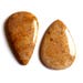 100cts Fossil Coral Gemstone 2 Pecs Pear Shaped Stone Loose Cabochon Gemstone