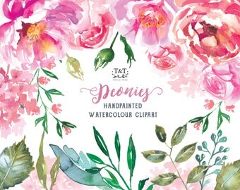 Peonies flower clipart. Perfect for wedding invitations, wedding clipart. Beautiful, washy watercolour, pink florals.