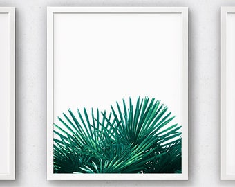 Plants, Wall Prints, Palm Trees, Modern Photography, Green Artwork, Tropical, Garden Prints, Printable Leaves, Decor for Walls, Turquoise