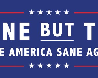 Anyone BUT Trump Bumper Sticker *Resist!*