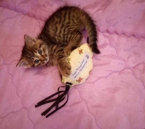 Toys & Accessories for Cats and Cat Lovers