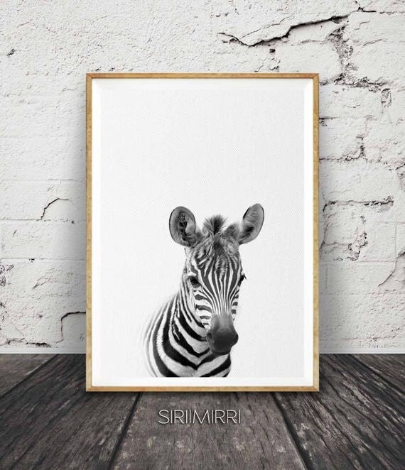 Zebra Wall Art Zebra Print Animal Photo Animal Print