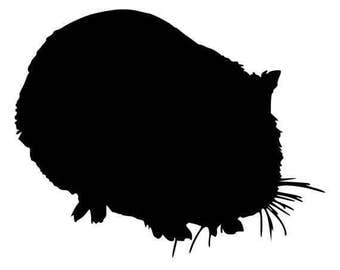 Guinea Pig - Sticker/ Vinyl / Decal