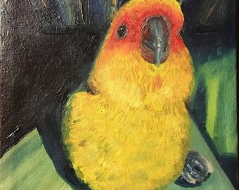 stuffed sun conure