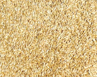 Canadian Alpiste for human consumption 4 lbs and free shipping!
