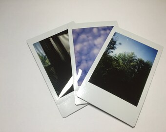 Polaroid Picture