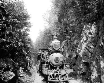 1900-1906 Train in the Green Mountains, Vermont Vintage Photograph 8.5" x 11"