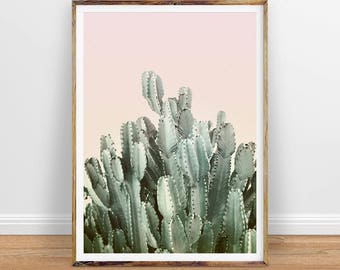 Cactus Wall Art, Cactus Print, Cactus Art, Desert Cactus Photo, Cactus South Western Decor, Cactus Photography, Pink and Green Printable Art