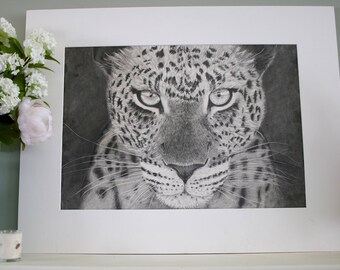Leopard original graphite drawing