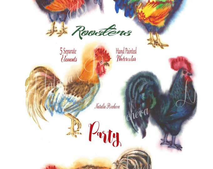 Roosters Party. Christmas, Watercolor, clip art, clipart watercolor, bird, feather, hand drawn, new year, chicken, fire, new year,