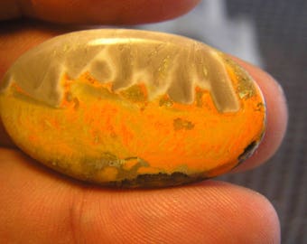 Bumblebee Jasper Freeform Designer Cabochon