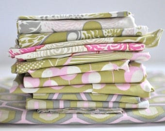 Amy Butler - Midwest Modern 2 - Fabric Pack