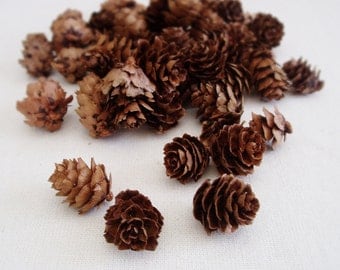 Pine Cones Mini Pine Cones Rustic Wedding Decor Small Pine Cones Vase Filler Table Scatter Hemlock Pine cones