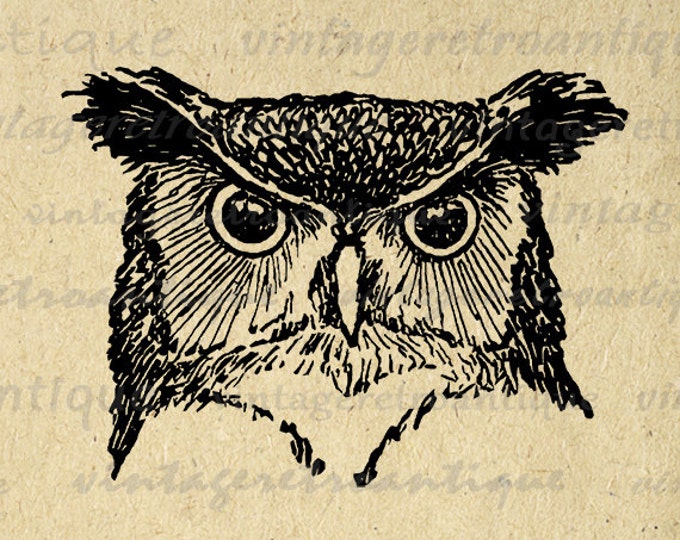 Owl Graphic Printable Digital Bird Head Image Download Vintage Clip Art Jpg Png Eps HQ 300dpi No.547