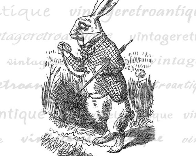 Printable White Rabbit Graphic Digital Alice in Wonderland Download Image Antique Vintage Clip Art Jpg Png Eps HQ 300dpi No.011