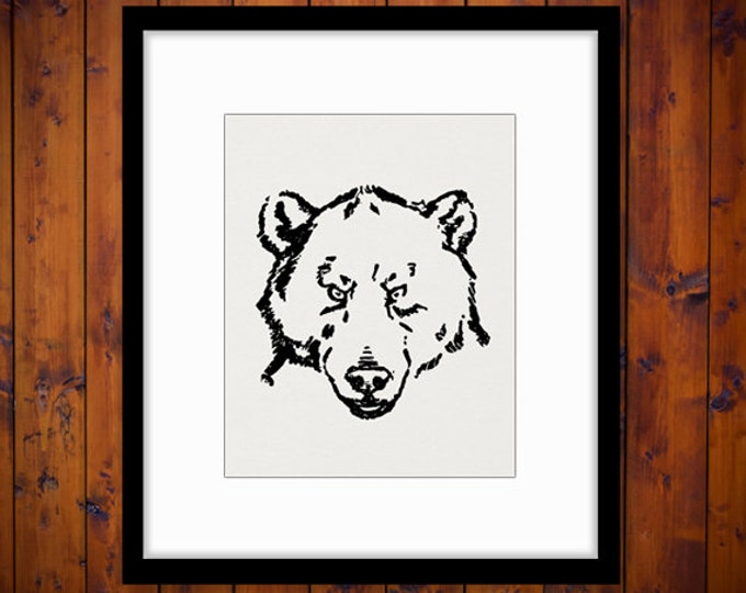 Digital Image Bear Download Face Head Printable Animal Illustration Graphic Vintage Clip Art Jpg Png Eps HQ 300dpi No.863