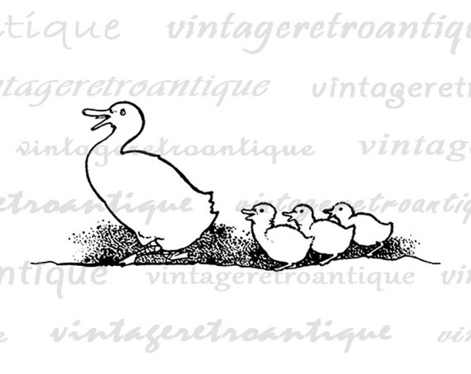 Digital Graphic Duck and Duckings Printable Cute Artwork Download Image Vintage Clip Art for Transfers Printing etc HQ 300dpi No.3660