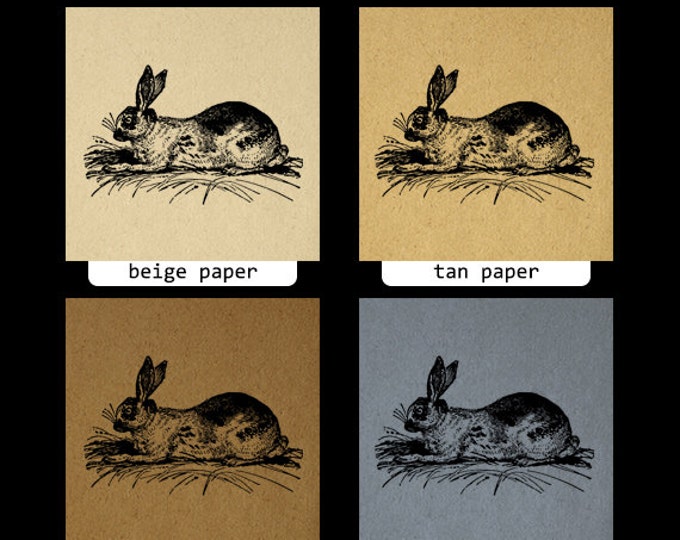 Digital Image Antique Rabbit Graphic Bunny Printable Download Artwork Vintage Clip Art Jpg Png Eps HQ 300dpi No.2711