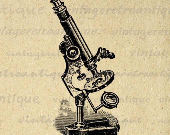 Digital Printable Microscope Image Science Graphic Illustration Download Antique Clip Art Jpg Png Eps HQ 300dpi No.1326