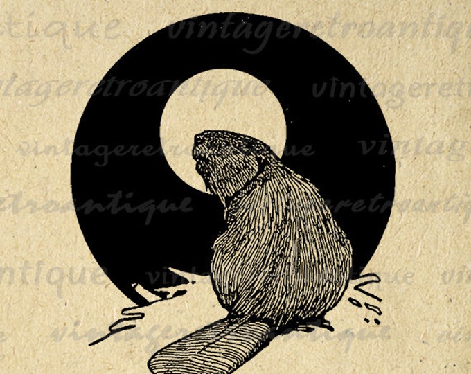 Printable Antique Beaver Digital Download Graphic Image Vintage Clip Art Jpg Png Eps HQ 300dpi No.458