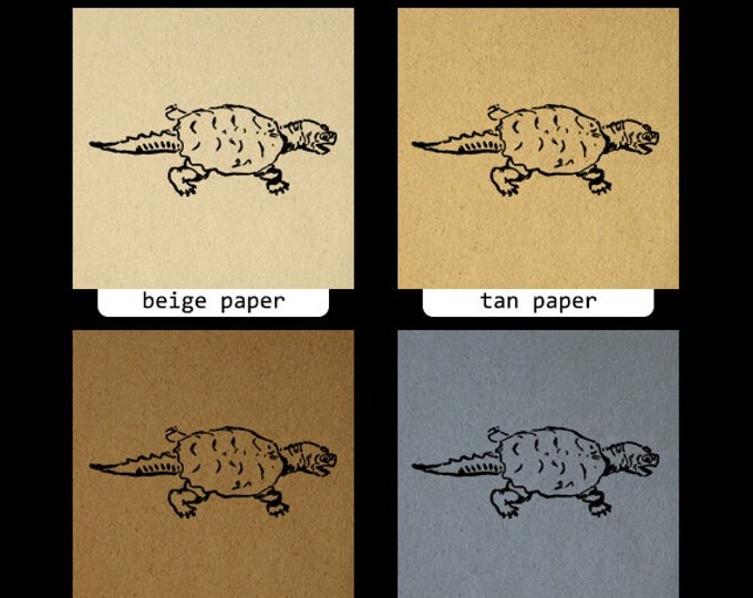 Snapping Turtle Printable Graphic Digital Illustration Image Download Vintage Clip Art Jpg Png Eps HQ 300dpi No.1587