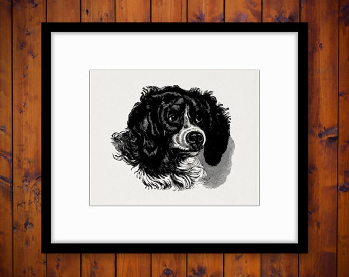 Printable Dog Image Graphic Download Illustration Digital Artwork Vintage Clip Art Jpg Png Eps HQ 300dpi No.2240