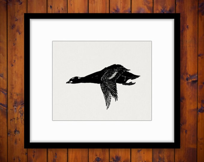 Flying Pheasant Image Graphic Printable Bird Download Antique Digital T-Shirts Jpg Png Eps HQ 300dpi No.140