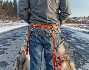 Hands Free Leash, dog training, nylon dog leash, double dog leash, running leash, dog leash, puppy leash, trail running