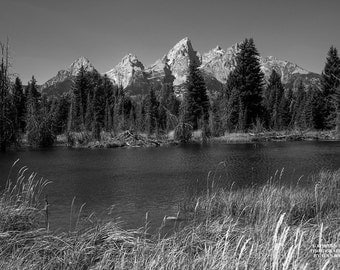 Grand Teton Print, Black-and-White Art, Teton Photography, Wall Art Mountains, Teton Home Decor, Photo of Grand Teton, Nature Photography