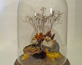 Vintage Glass Cloche, Large Glass Dome, Vintage Faux 1970s Taxidermy Birds, Sunshine Company Glass Cloche Terrarium