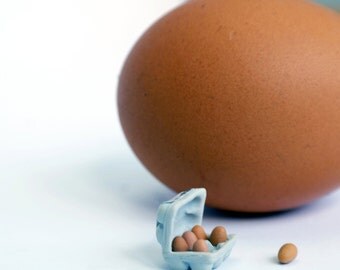 1:12 egg carton dollhouse miniature, easter miniature, eggs, miniature food, dollhouse food, clay food velwoo