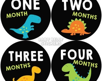 Baby Month Stickers, Monthly Baby Stickers, Monthly Milestone Stickers, Baby Monthly Stickers, Baby Belly Stickers, Dinosaurs