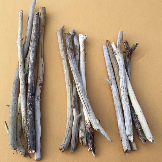 Long Driftwood Lot Bundle of 5 Straightish Branches