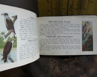 Vintage Bird Guide, Western Bird Guide, Rockies & Pacific, Vintage