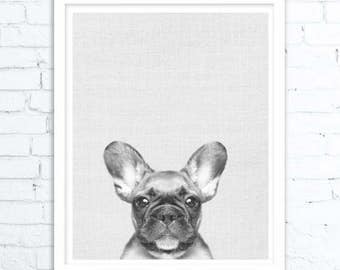 French Bulldog Print, Dog Print, Animal Print, Nursery Print, Puppy Print, Dog Art, Wall Art, Poster, Prints, Dog Photography, Puppy Art