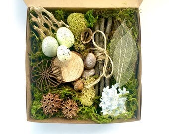 Fairy House Kit