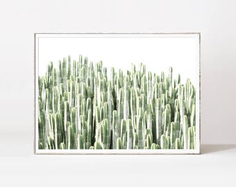 Cactus Wall Art cactus wall decor | etsy Cactus Wall Art cactus wall decor | etsy